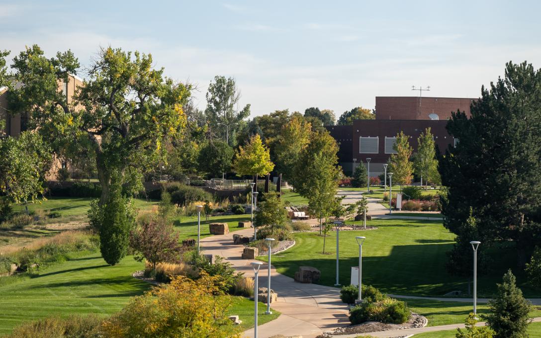 The winding brick walking path leading to buildings on the Aims Greeley campus