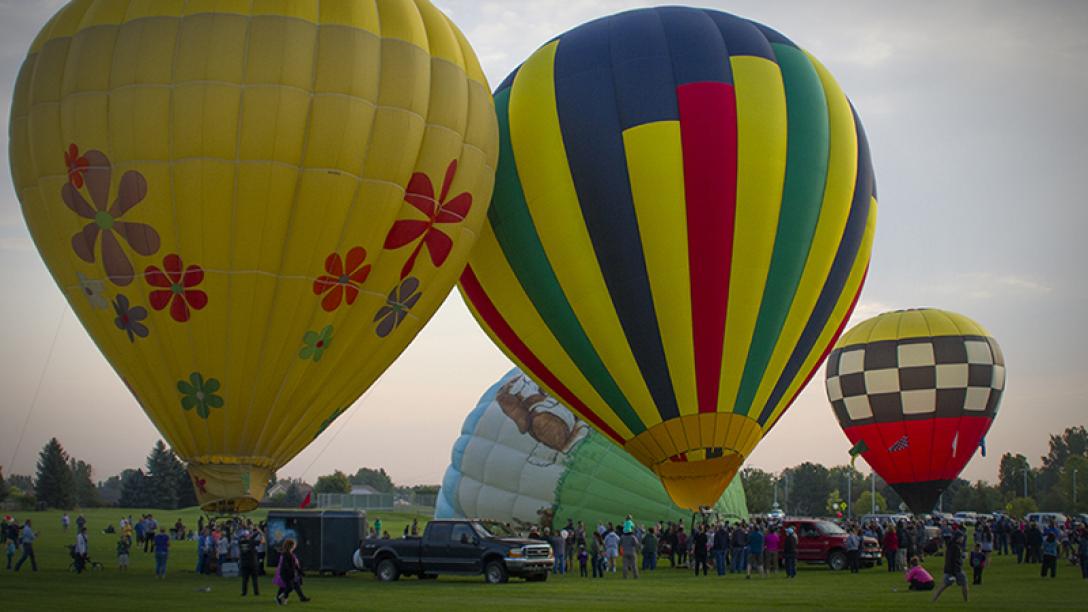 Aims the Community to Campus for "The Great Aardvark Embark