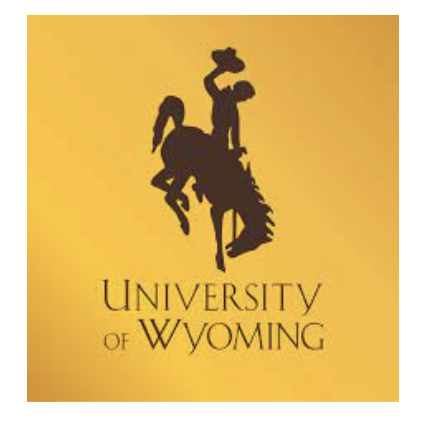 logo art gold gradient square with cowboy riding bucking bronco with hat in hand raised in air black illustration silhouette with University of Wyoming in serif font stacked below 